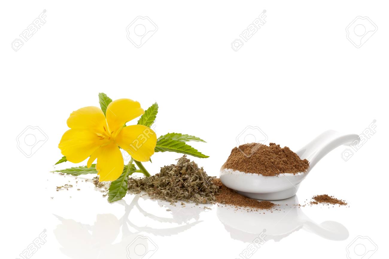 乾燥したレベとパウダーを持つダミアナの花 白い背景に隔離されています の写真素材 画像素材 Image