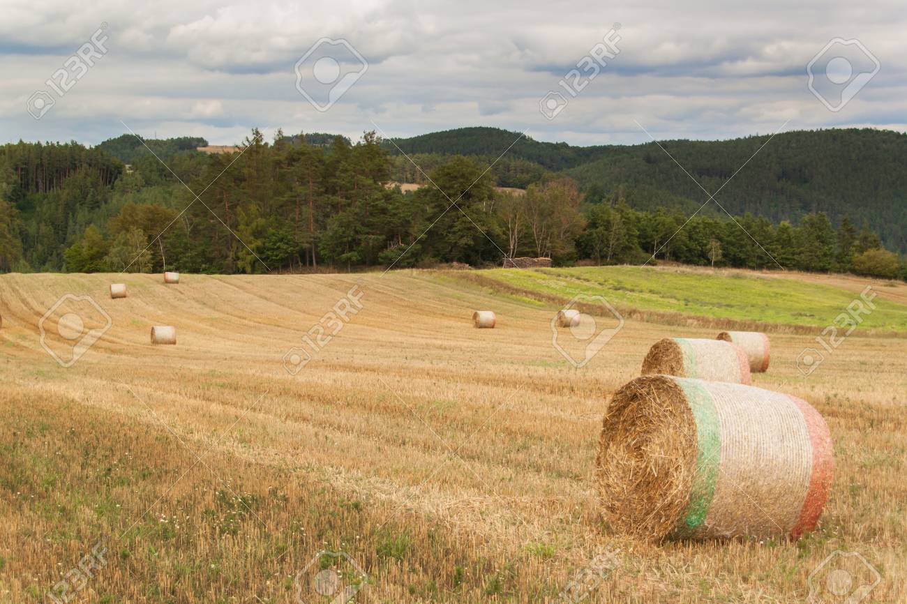 Straw Packs