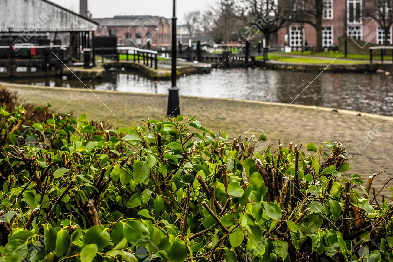 The View Over Some Bushes To The Towpath And Dry Dock Of The Stock Photo Picture And Royalty Free Image Image