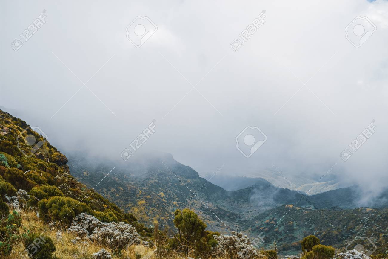 Mountain landscapes against a foggy background at the aberdare ranges on the flanks of Mount Kenya, Kenya - 122211416 Mountain landscapes against a foggy background at the aberdare ranges on the flanks of Mount Kenya, Kenya - 122211416