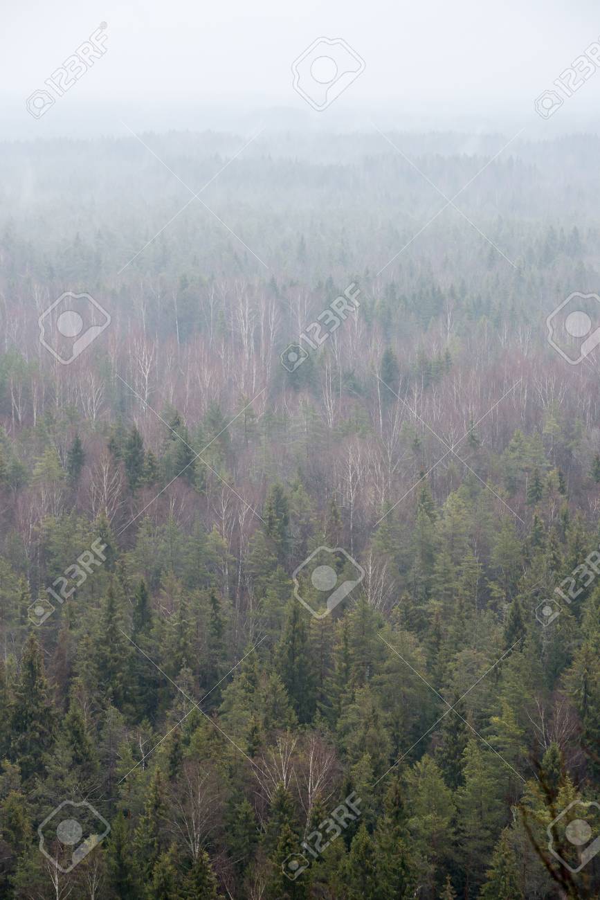 Misty Rain Misty Rain new pictures Misty Rain Misty Rain new images