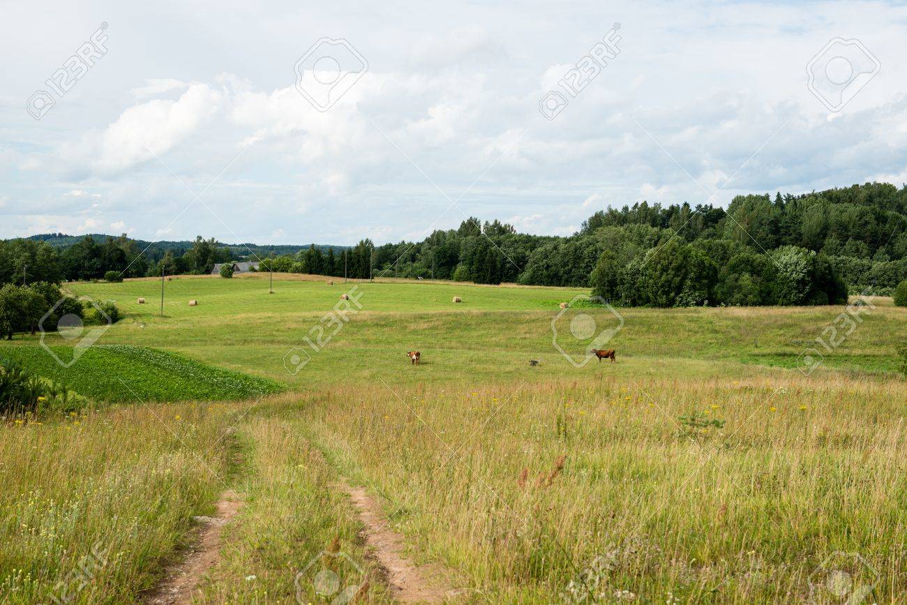 明るい春の日の田園地帯で農耕地 の写真素材 画像素材 Image 明るい春の日の田園地帯で農耕地 の写真素材 画像素材 Image