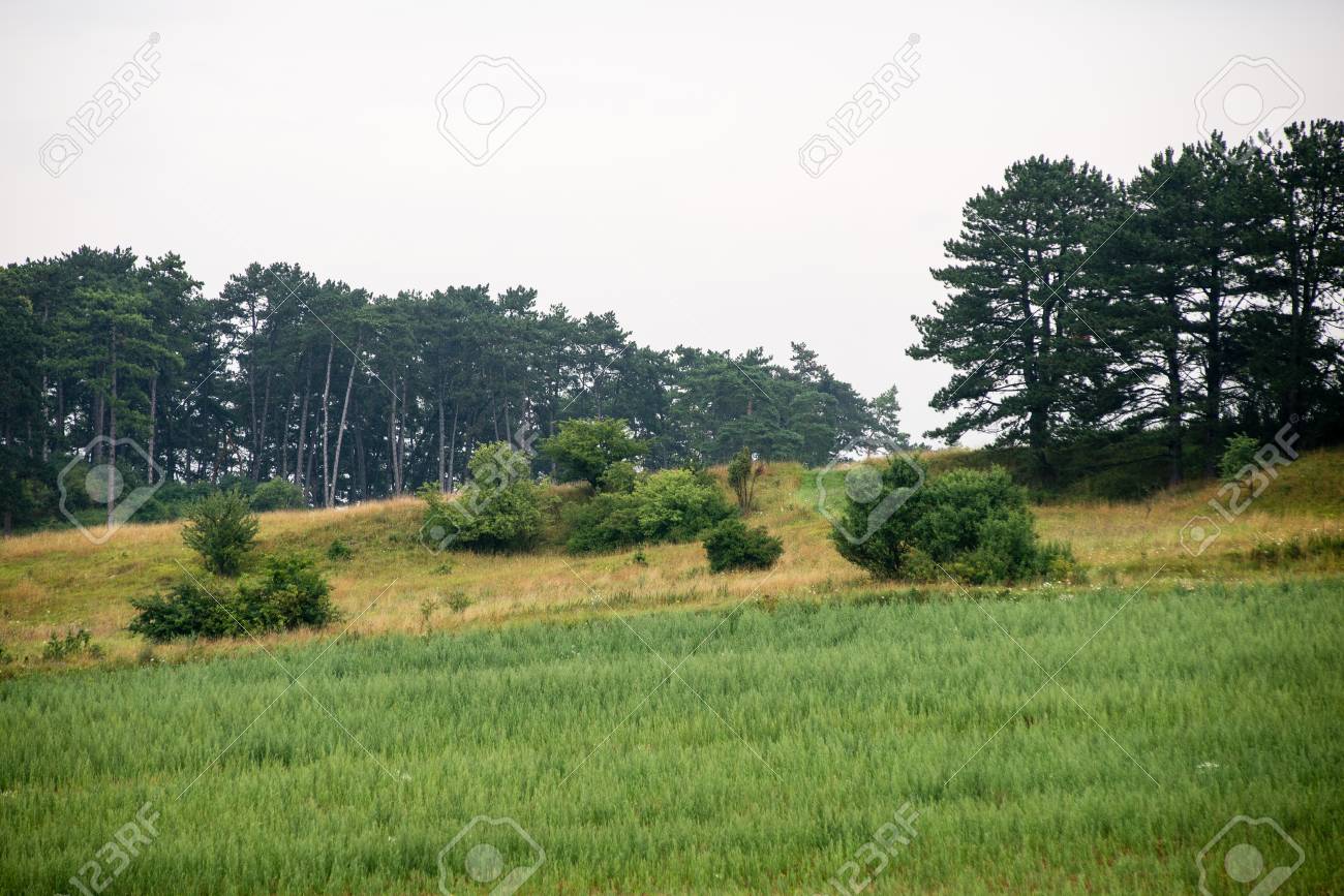 明るい春の日の田園地帯で農耕地 の写真素材 画像素材 Image 明るい春の日の田園地帯で農耕地 の写真素材 画像素材 Image