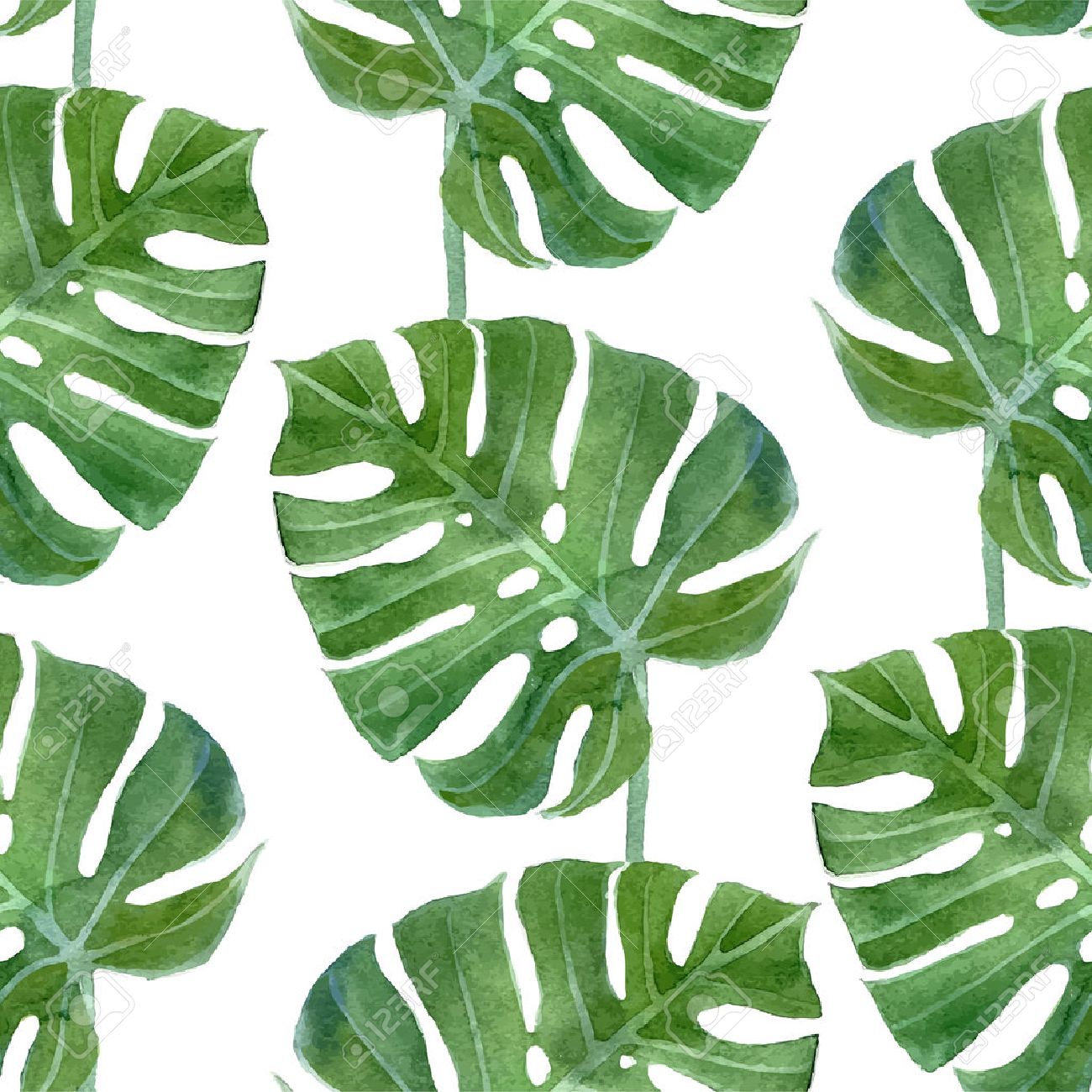 Watercolor Monstera Leaf Seamless Pattern On White Background