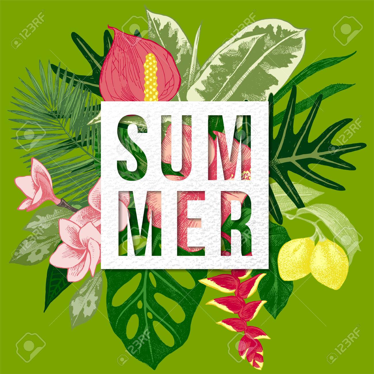 熱帯の植物や花が夏の背景のイラスト素材 ベクタ Image