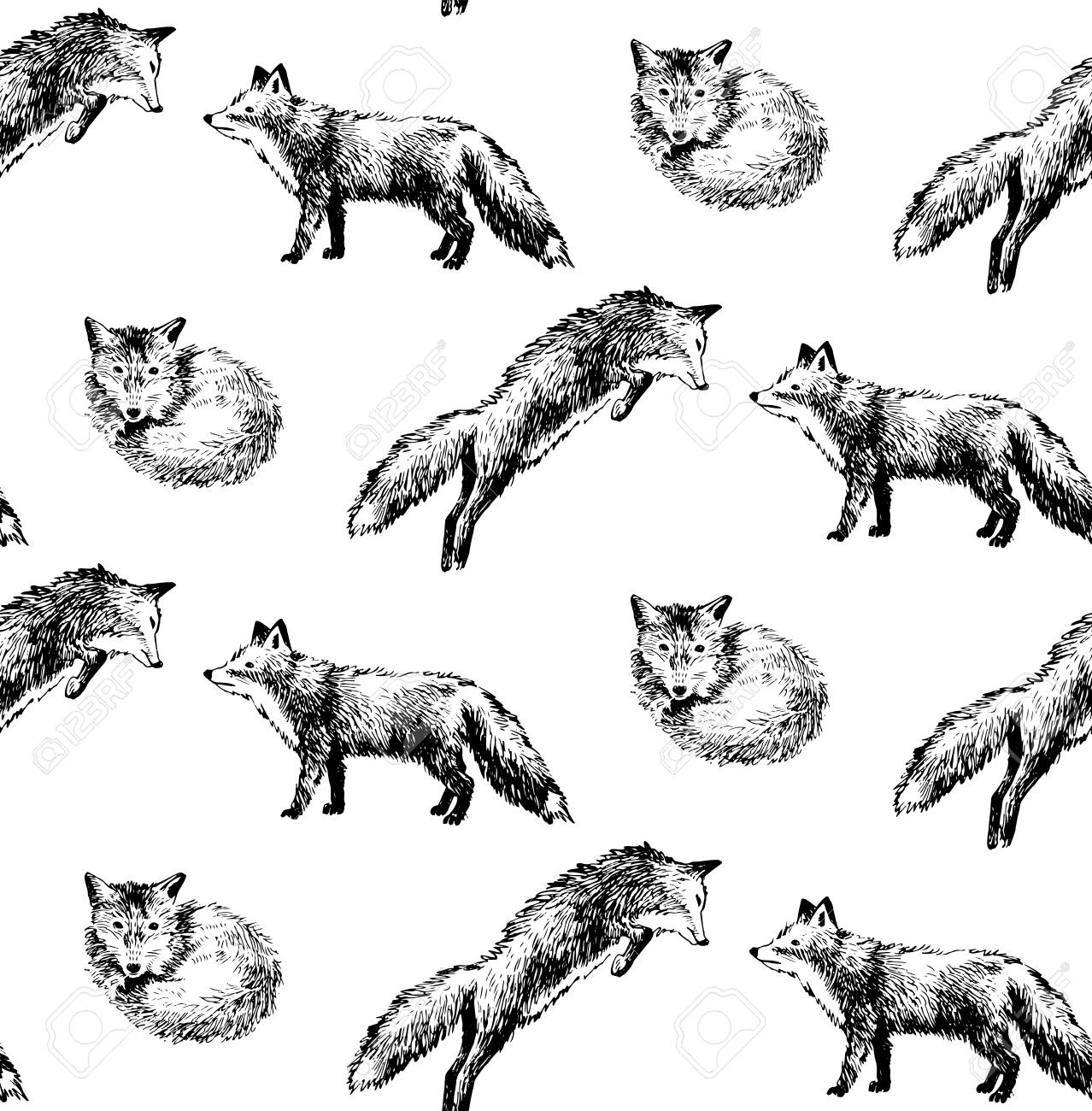 シームレスなパターンと手の描かれたキツネのイラスト素材 ベクタ Image