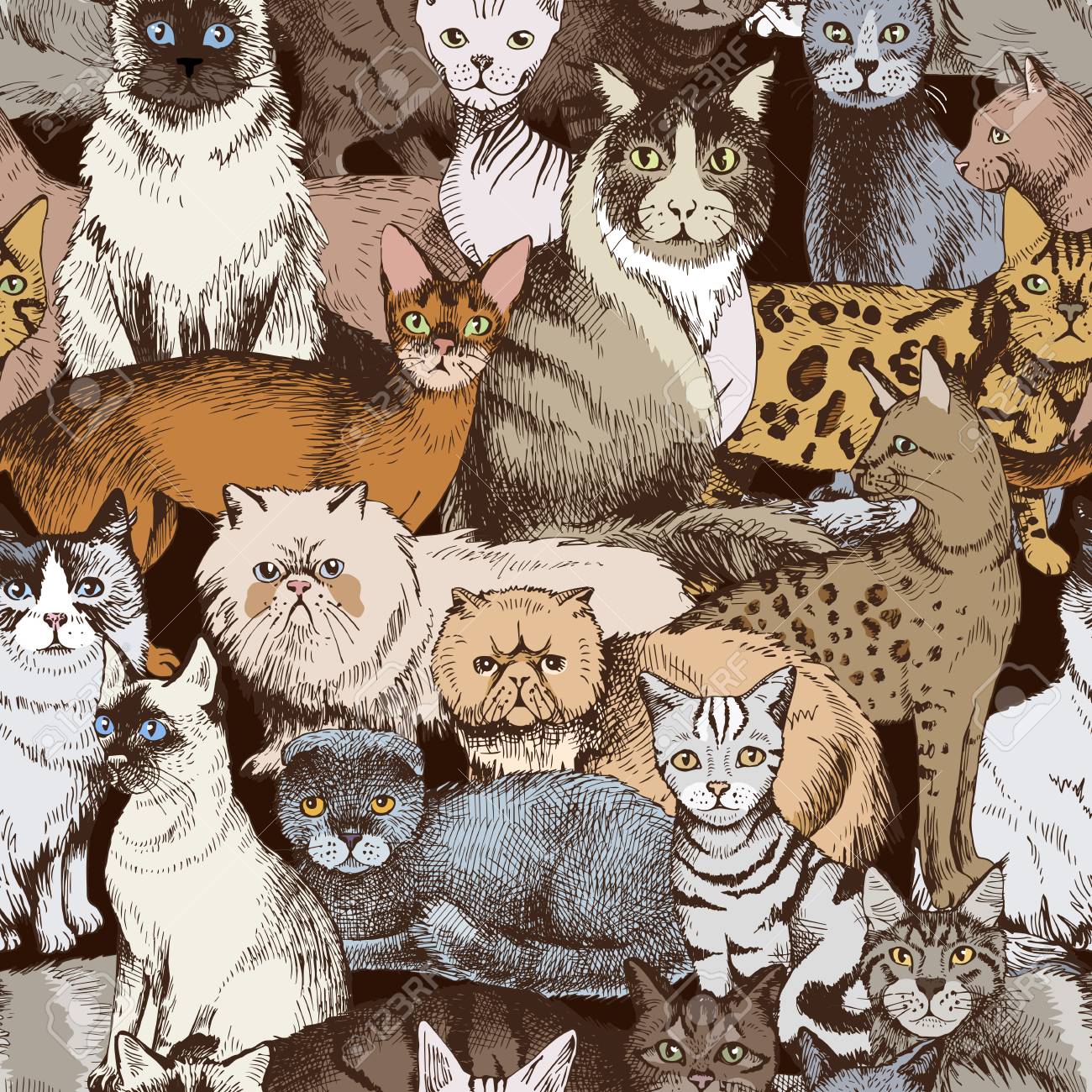 Seamless pattern with 16 colorful hand drawn purebred cats. Vector illustration - 128182548 Seamless pattern with 16 colorful hand drawn purebred cats. Vector illustration - 128182548