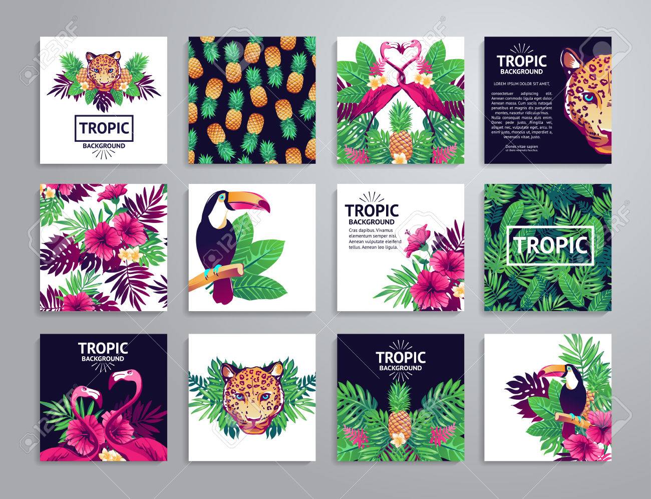 Tropical printable set. cards, notes and with toucan, leopard, exotic flowers and fruits. - 52783298 Tropical printable set. cards, notes and with toucan, leopard, exotic flowers and fruits. - 52783298