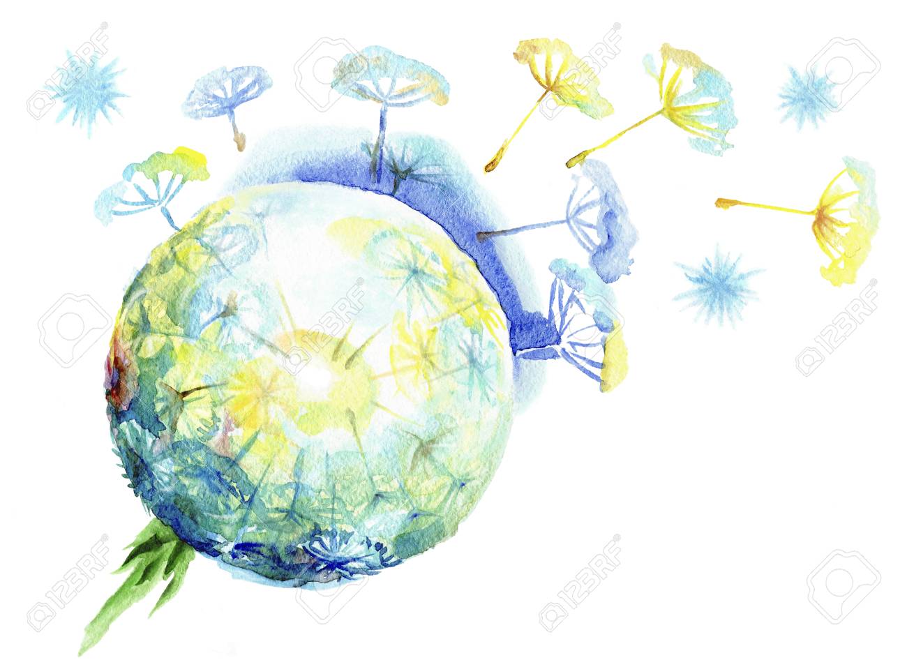 Fluffy dandelion dispersing seeds.Watercolor sphere of a dandelion on a white background - 68799443 Fluffy dandelion dispersing seeds.Watercolor sphere of a dandelion on a white background - 68799443