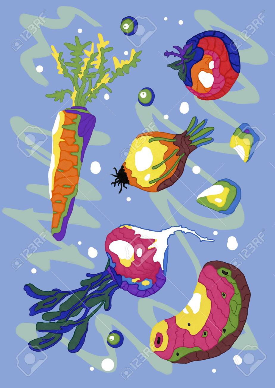 A set of fresh vegetables for cooking hot and cold dishes. Drawn products on an abstract background - 151341436 A set of fresh vegetables for cooking hot and cold dishes. Drawn products on an abstract background - 151341436