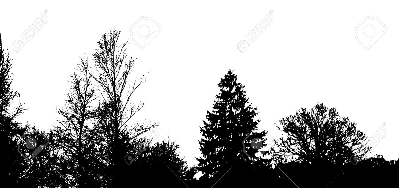 Forest Silhouette . Tree Silhouette Panorama. Vector Illustration Клипарты,  SVG, векторы, и Набор Иллюстраций Без Оплаты Отчислений. Image 198255492