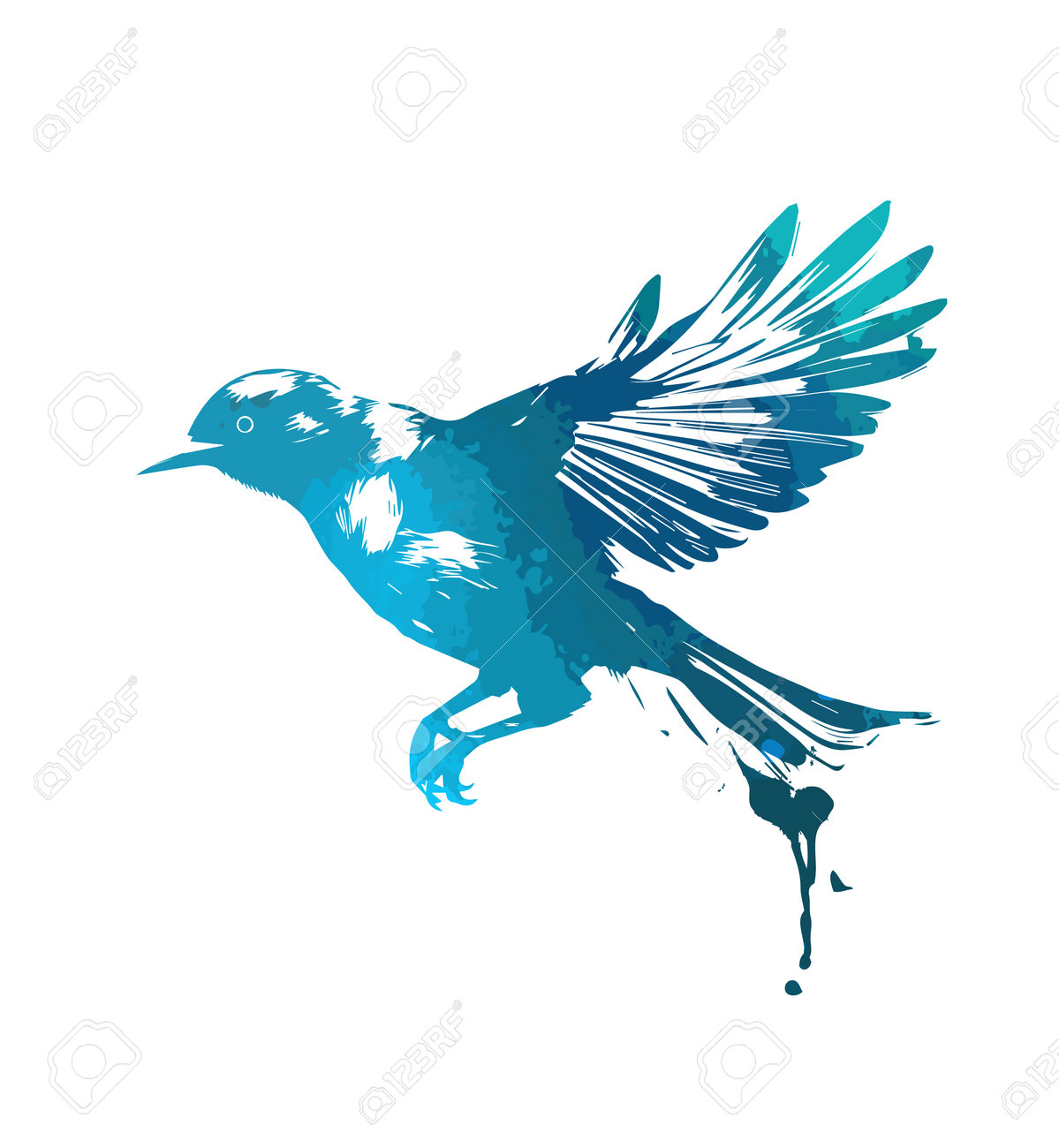 抽象的な水彩の青の空飛ぶカササギ。飛んでいる美しい鳥。グラフィティ