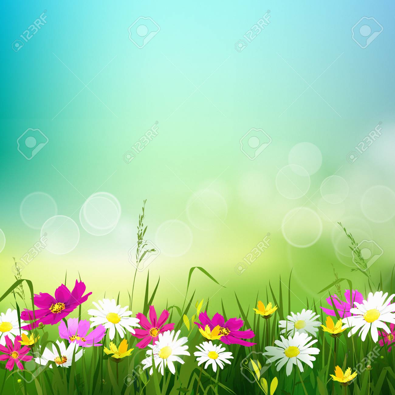 Ciao, Modello Di Estate Con Prato Di Fiori Selvatici Su Priorità ... Ciao, Modello Di Estate Con Prato Di Fiori Selvatici Su Priorità ...