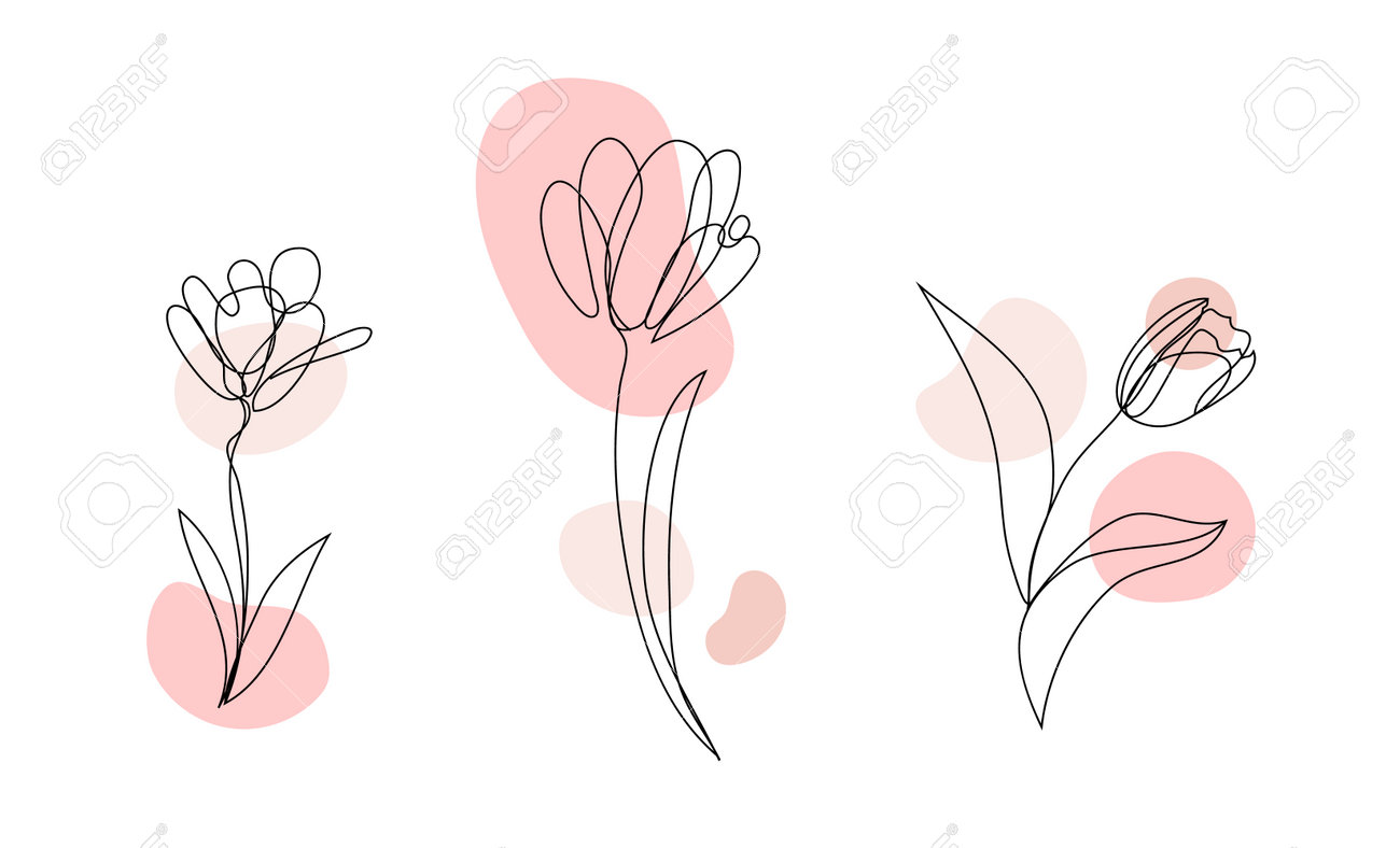 Vector set of hand drawn, single continuous line flowers - tulip, leaves. Art floral elements. - 171516276 Vector set of hand drawn, single continuous line flowers - tulip, leaves. Art floral elements. - 171516276