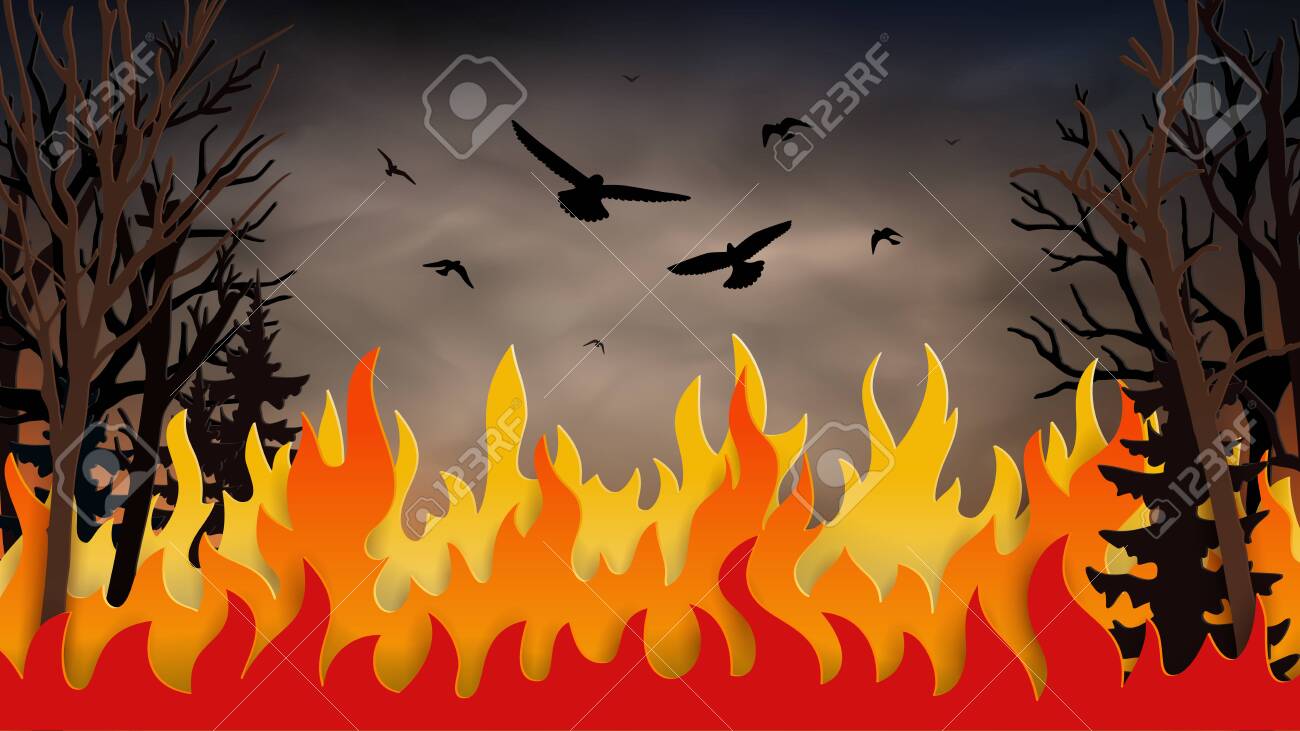 Wildfire Background. Smoke In The Air, Fir Trees In Fire, Natural Disaster. Birds Flying Away From Flame Of Burning Forest Trees. Vector Illustration. Royalty Free Cliparts, Vectors, And Stock Illustration. Image 146427164.