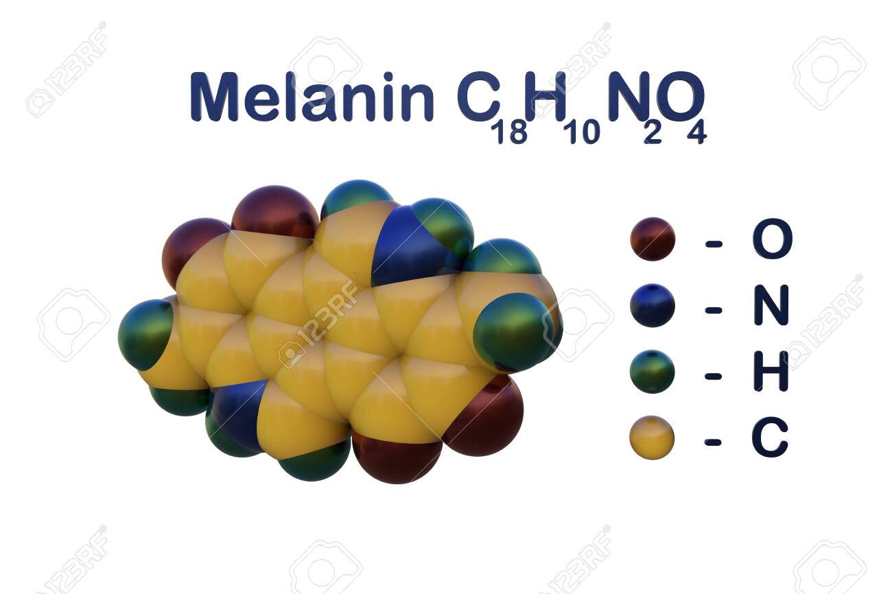 Structural Chemical Formula And Space Filling Molecular Model Of Melanin A Skin Pigment That Gives Human Skin Hair And Eyes Their Color 3d Illustration Stock Photo Picture And Royalty Free Image Image 144531541