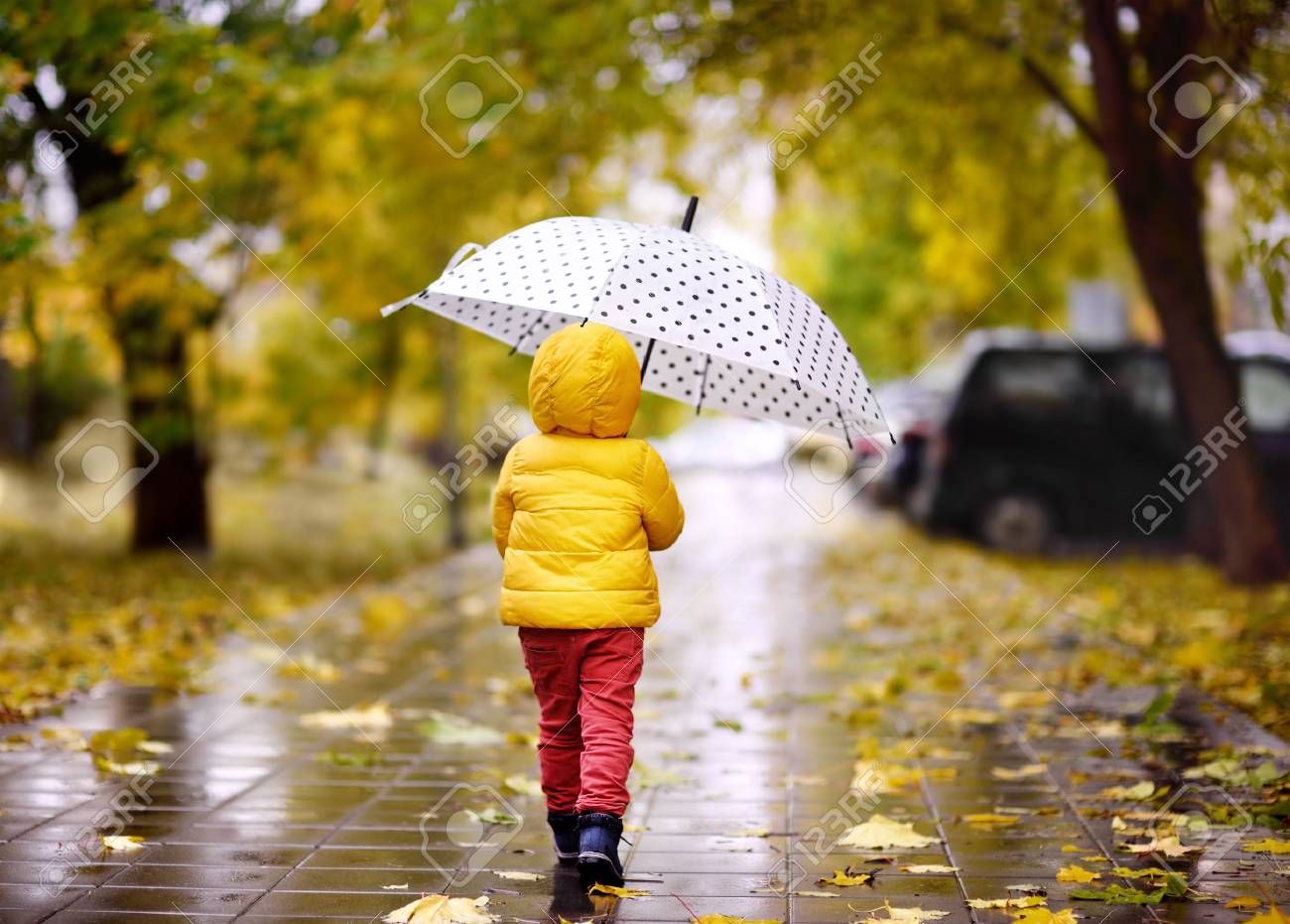 Little child walking in the city park at rainy autumn day. Toddler boy with umbrella for fall weather - 88132528 Little child walking in the city park at rainy autumn day. Toddler boy with umbrella for fall weather - 88132528