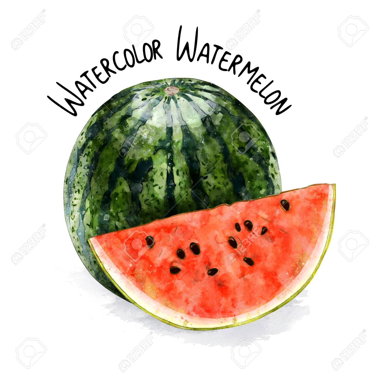 Watercolor Watermelon Illustration Stock Photo Picture And Royalty Free Image Image