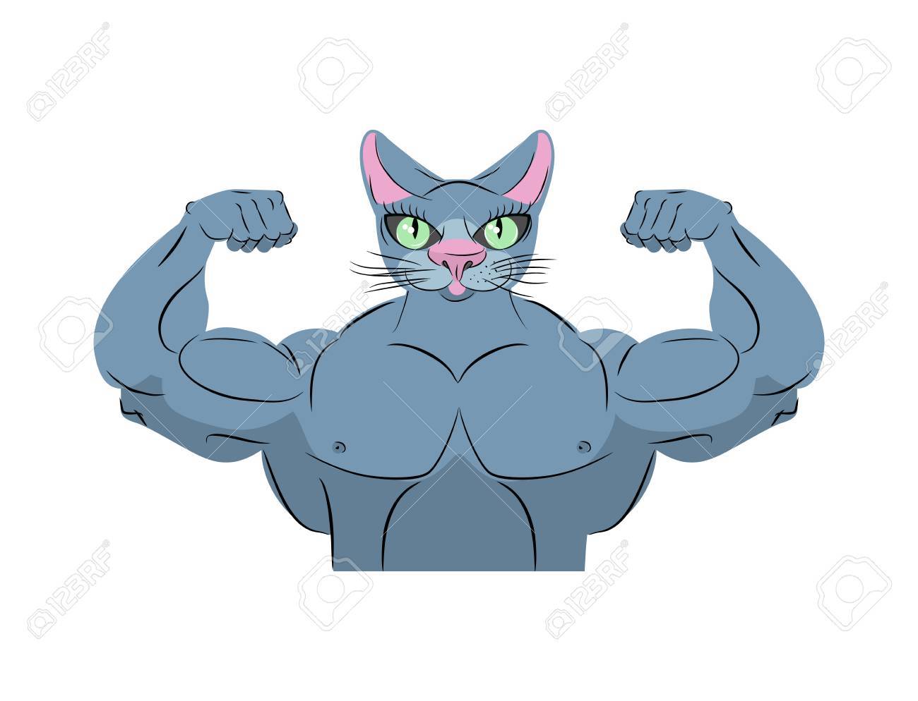 Fort Chat Bodybuilder Alimentation Animale Animaux Avec De Gros Muscles Embleme Pour Les Equipes Sportives Clip Art Libres De Droits Vecteurs Et Illustration Image