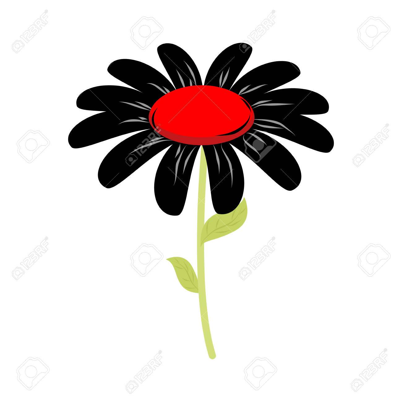 分離した黒い花 悲しみと悲哀の白い背景の上の小花のイラスト素材 ベクタ Image 6844
