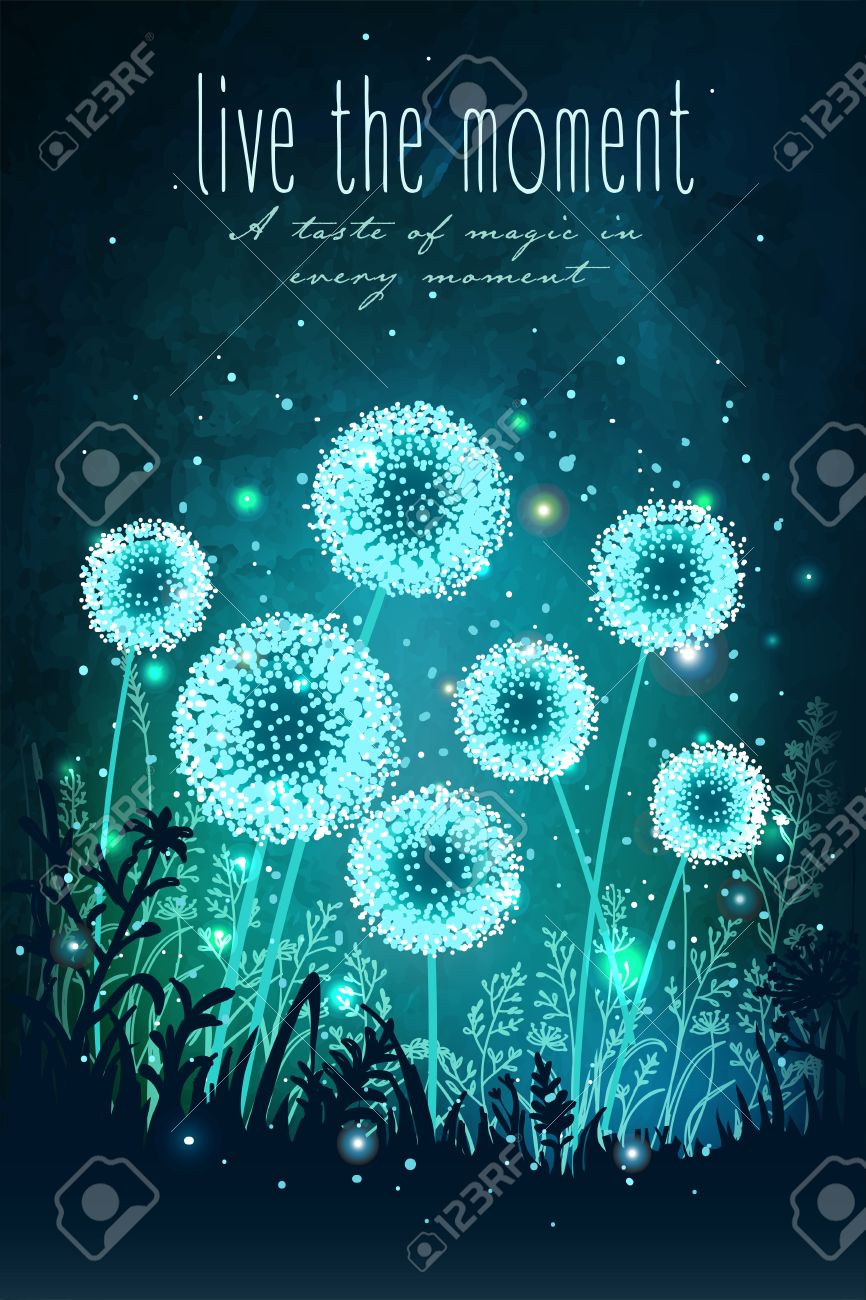 Amazing dandelions with magical lights of fireflies at night sky background. Unusual vector illustration. Inspiration card for wedding, date, birthday, holiday or garden party - 54192164 Amazing dandelions with magical lights of fireflies at night sky background. Unusual vector illustration. Inspiration card for wedding, date, birthday, holiday or garden party - 54192164