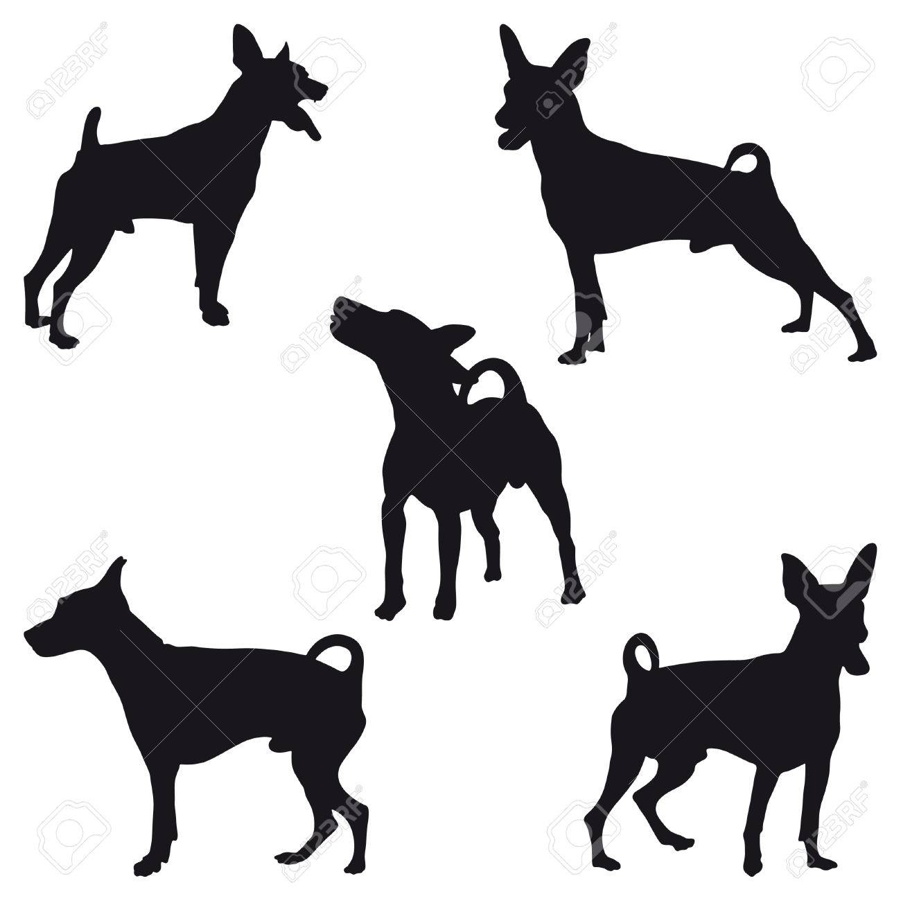 5 つのミニチュア ピンシャーの黒いシルエット のイラスト素材 ベクタ Image