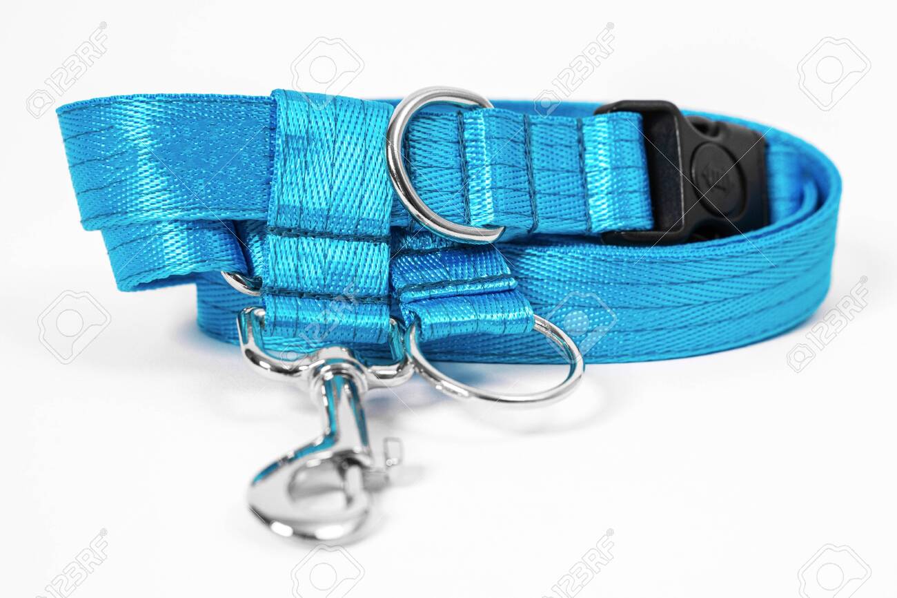 Collar and leash pet store Clearance