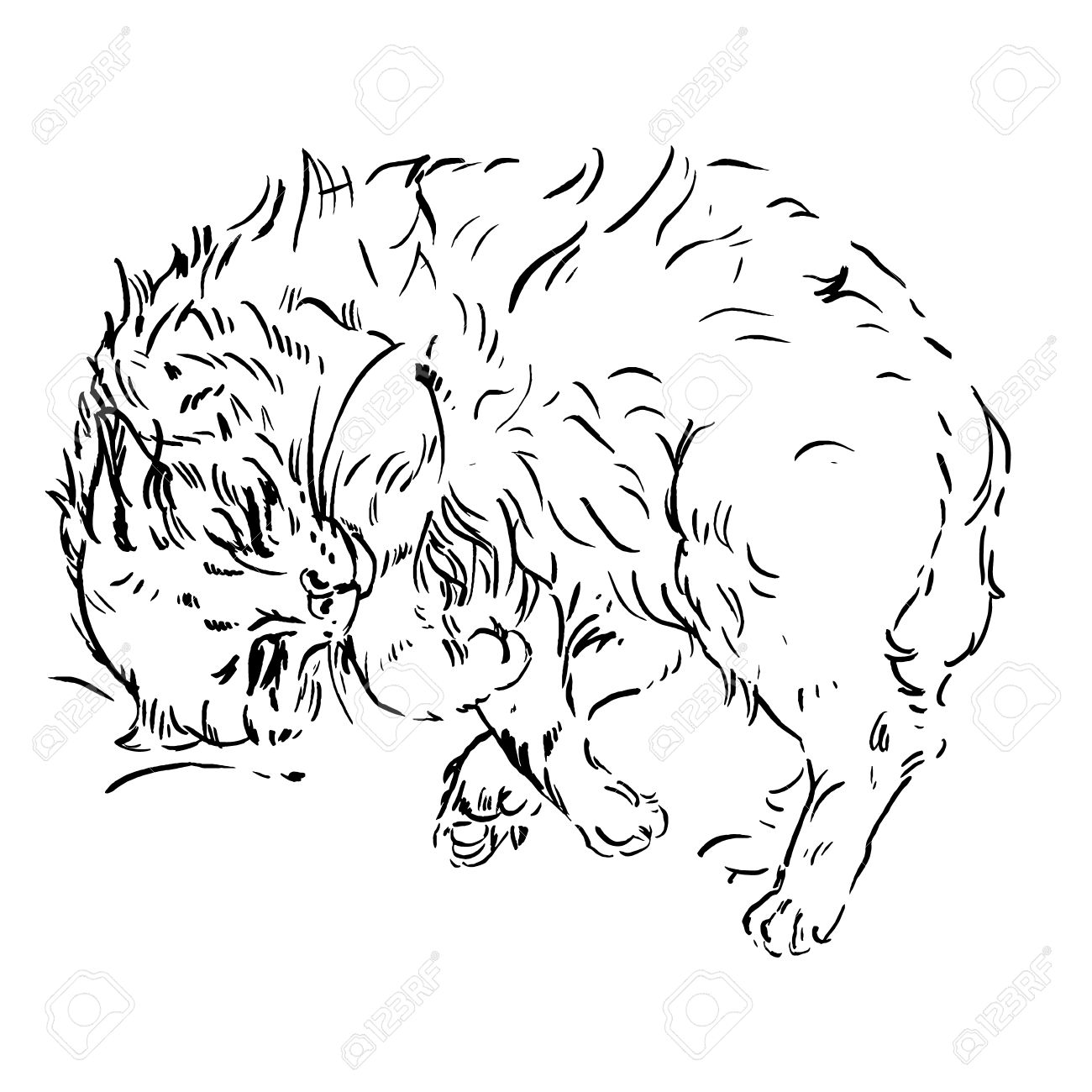 寝ている猫のスケッチ インク ブラシ手の絵します ベクトル のイラスト素材 ベクタ Image 44120398