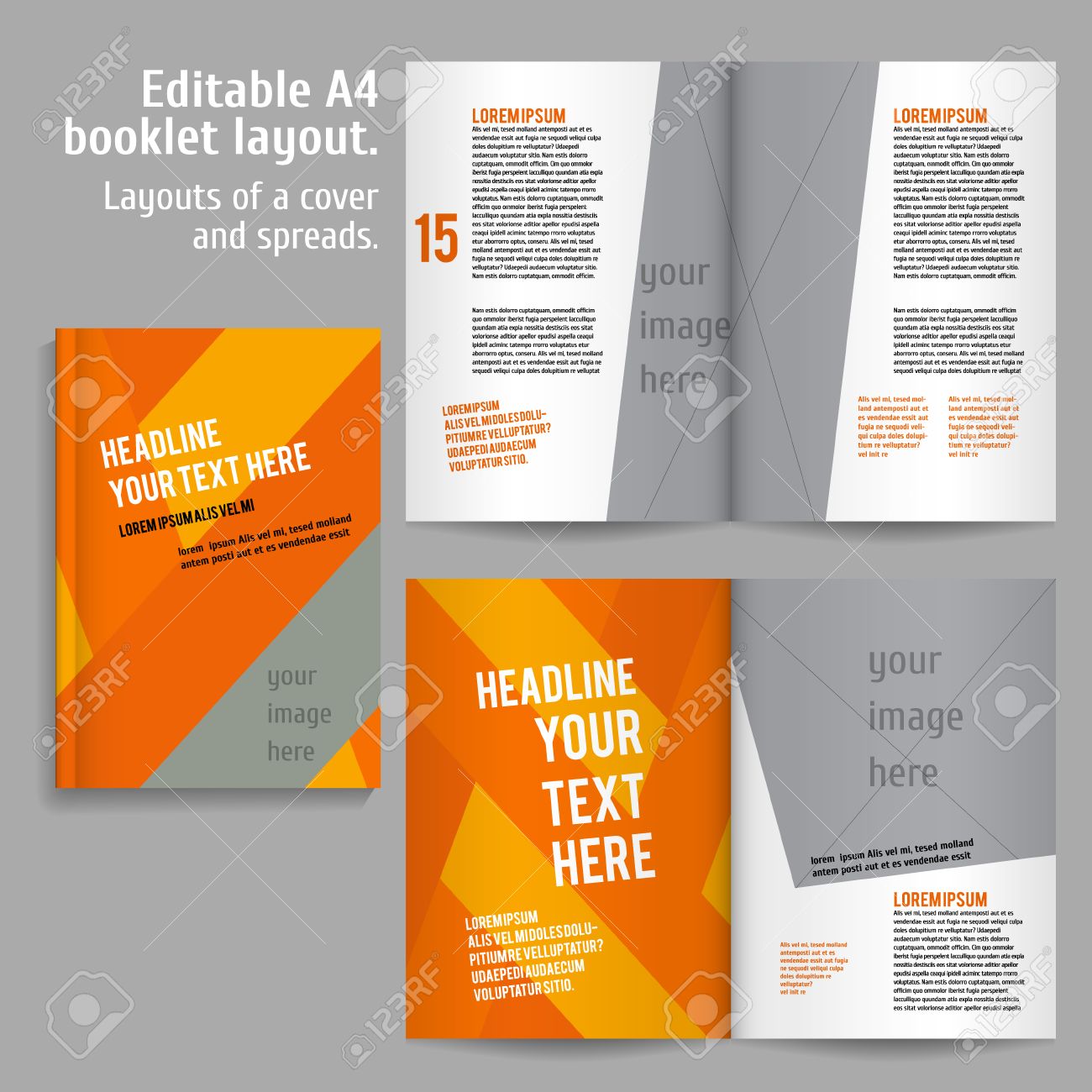 Book Layout Design Template With Cover And 2 Spreads Of Contents Royalty Free Cliparts Vectors And Stock Illustration Image