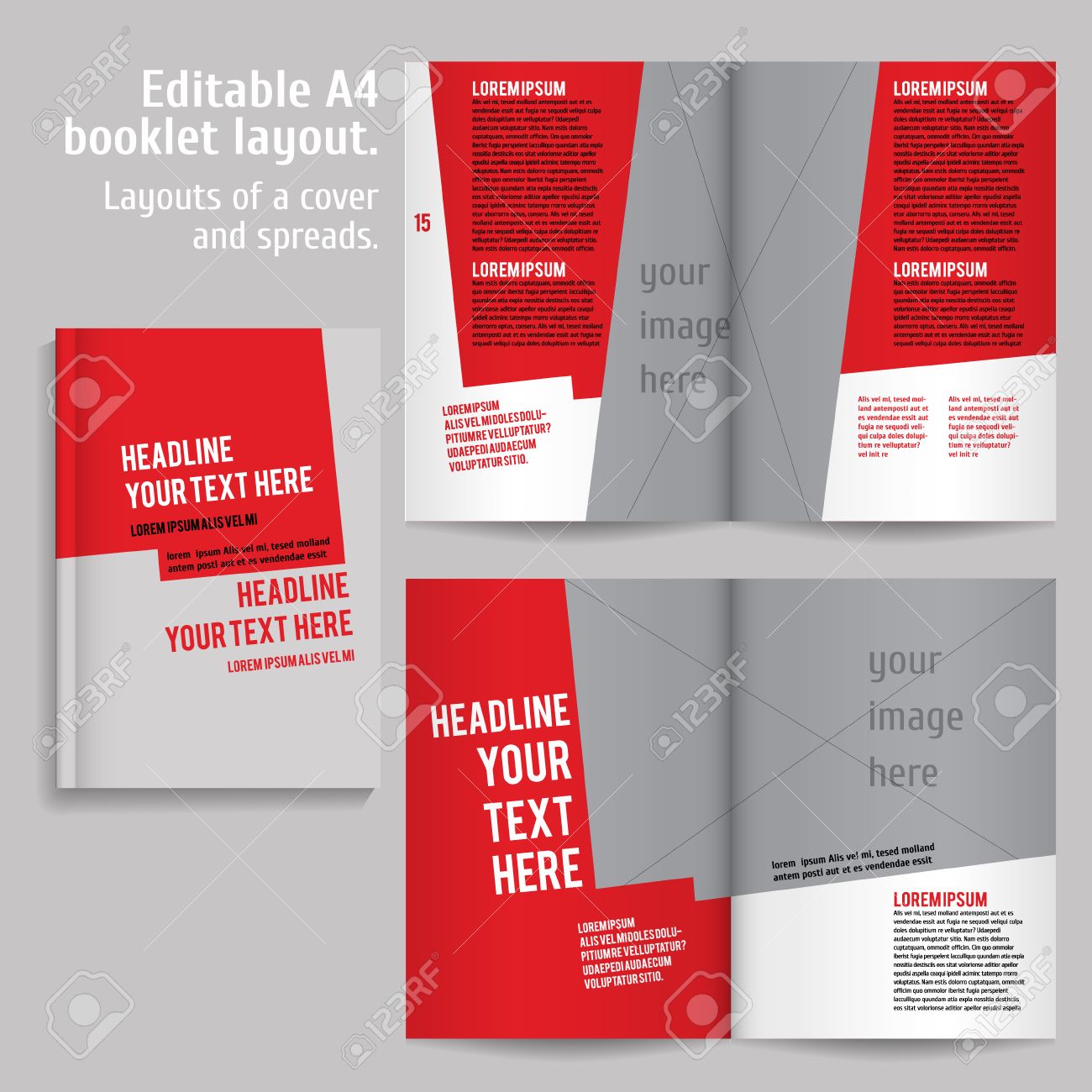 a4 book layout design template with cover and 2 spreads of contents