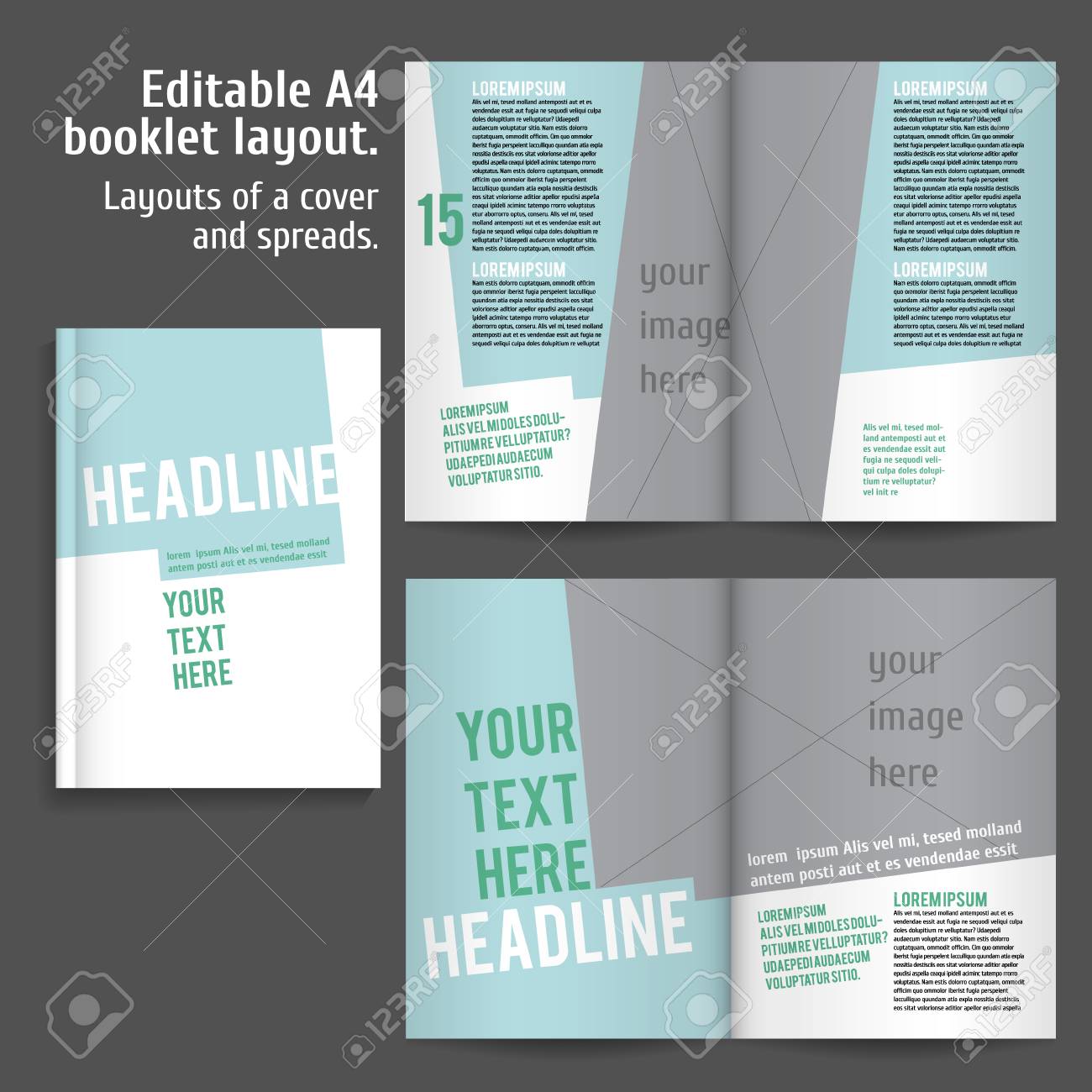 a4 book layout design