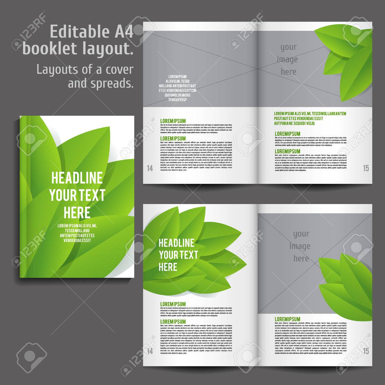 a4 book layout design template with cover and 2 spreads of contents