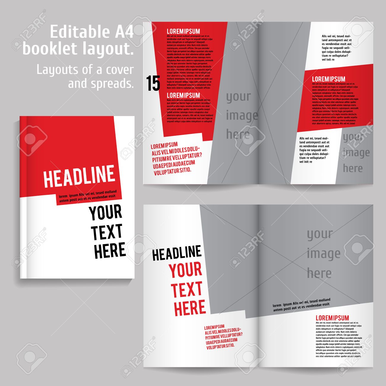 Book Layout Design Template With Cover And 2 Spreads Of Contents Royalty Free Cliparts Vectors And Stock Illustration Image