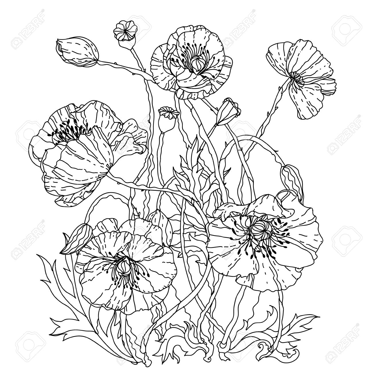 フィールド ポピー Zenart スタイルの大人の塗り絵の春パターン 手描き レトロ 落書き ベクトル Uncoloured デザイン テキスタイル ポスター ベクトルの塗り絵に最適です のイラスト素材 ベクタ Image 55230290