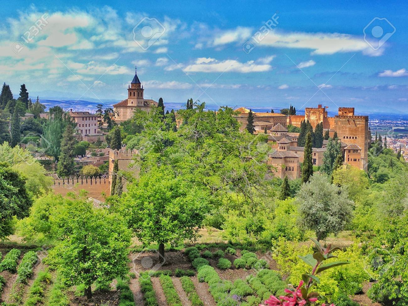 etiam-dictum-ipsum-a-felis