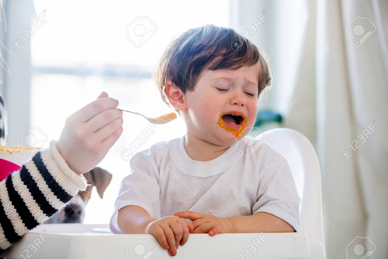 Young mother try to feeding a toddler boy with a spoon in a chair - 122806201 Young mother try to feeding a toddler boy with a spoon in a chair - 122806201