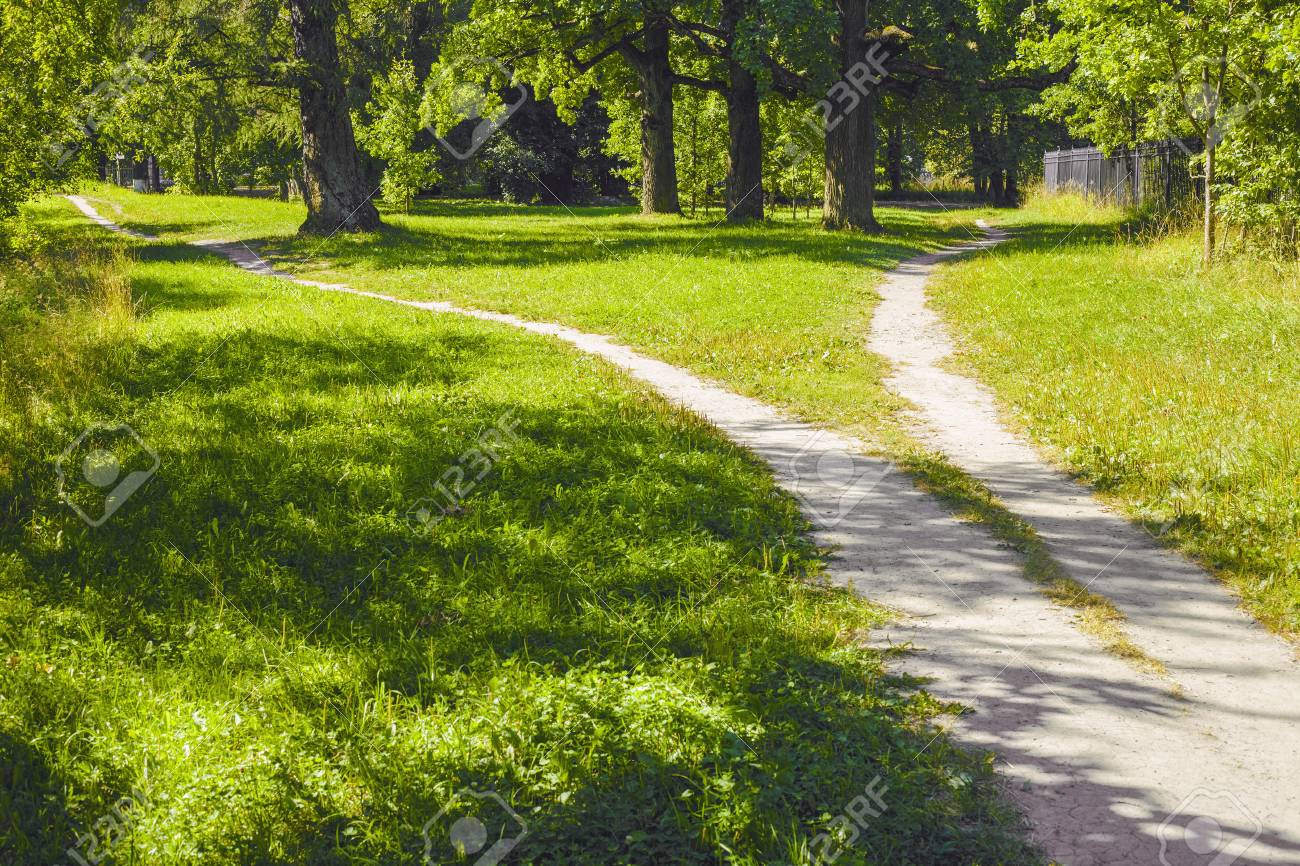 The divergence of paths in different directions in the park. Summer landscape - 126886353 The divergence of paths in different directions in the park. Summer landscape - 126886353