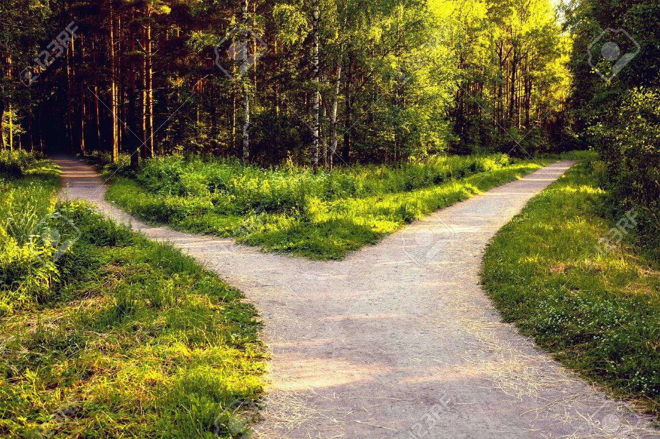 Divergence of directions. The wide path in the park is divided into two trails. - 152475485 Divergence of directions. The wide path in the park is divided into two trails. - 152475485