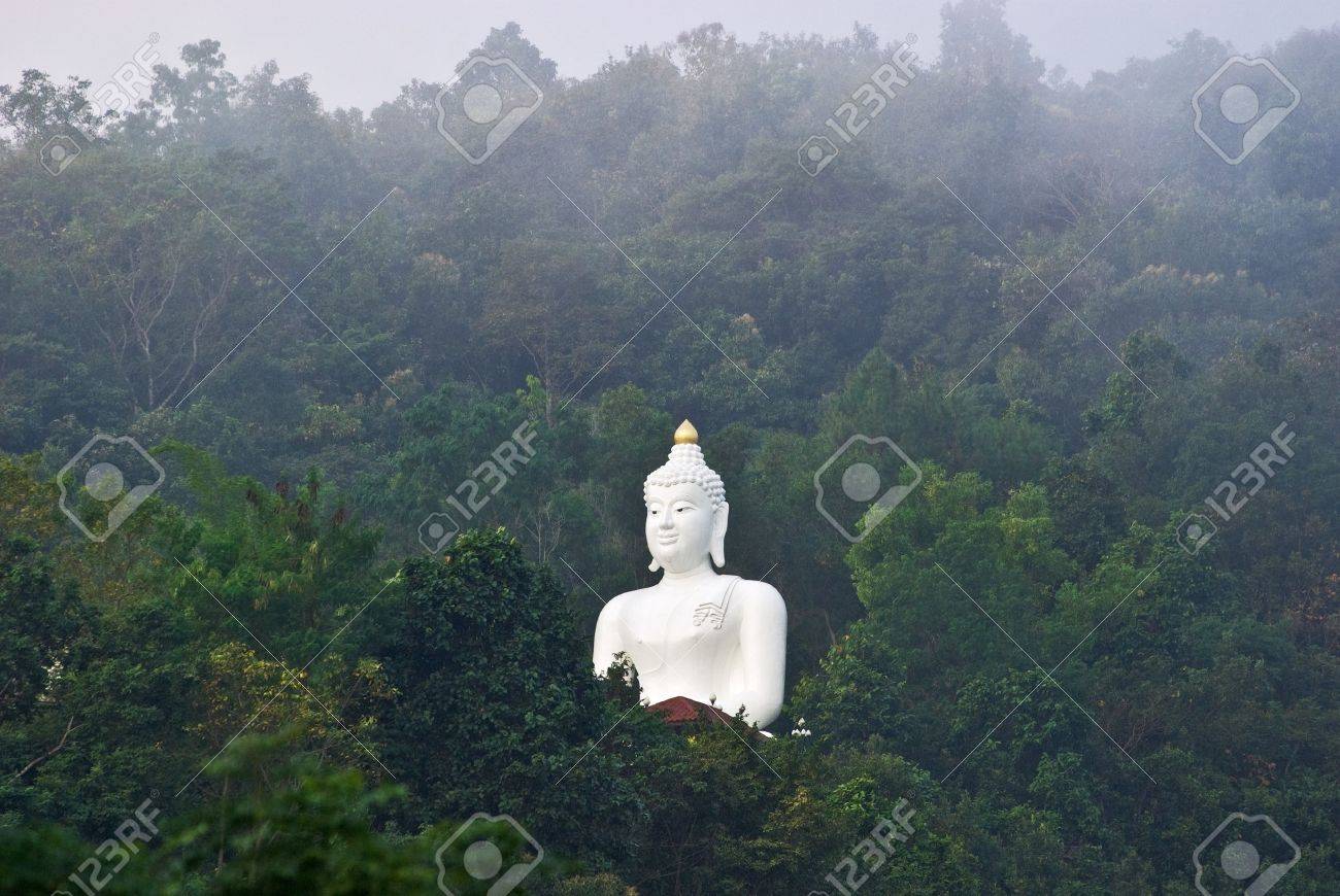 その他 Jungle Buddha - Jungle Buddha E.P painting-buddha-jungle-with-