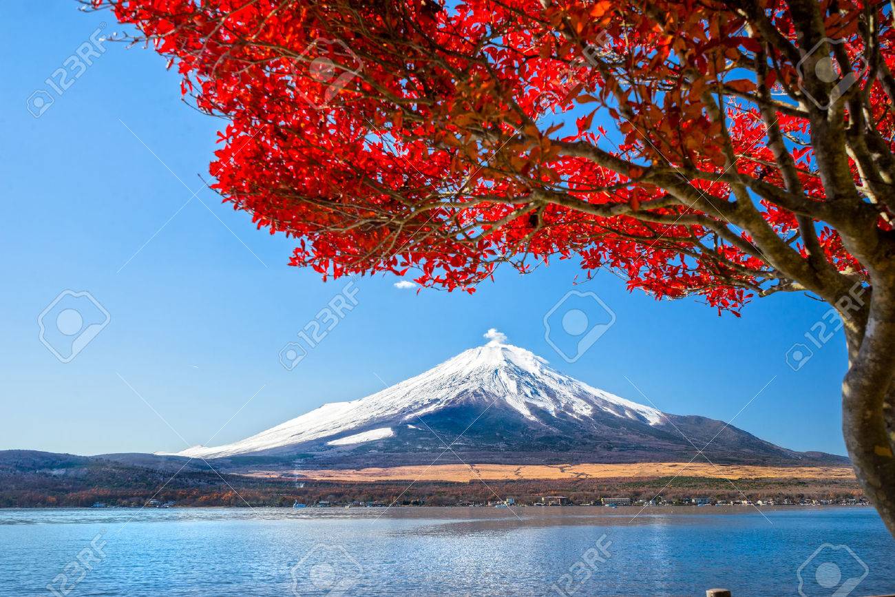 Mount Fuji reflected in Lake Yamanaka at dawn, Japan. - 36160732 Mount Fuji reflected in Lake Yamanaka at dawn, Japan. - 36160732