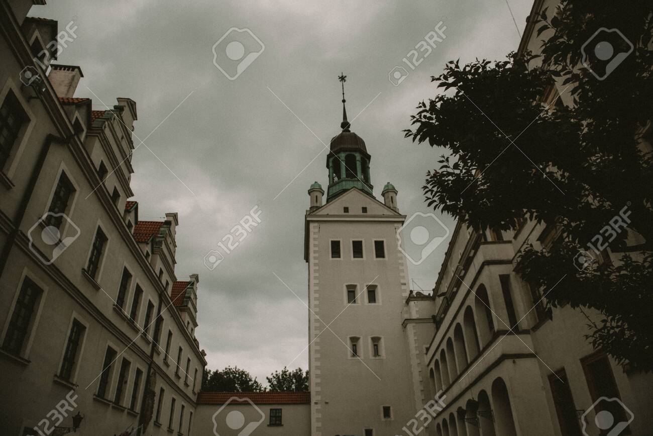 etiam-dictum-ipsum-a-felis