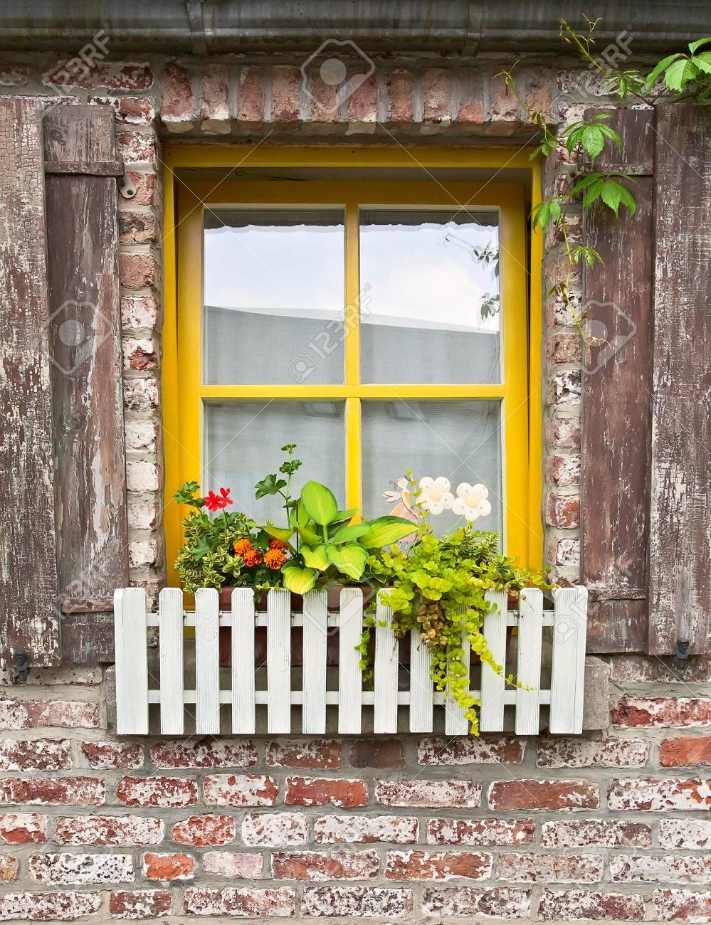 Window with Flowers