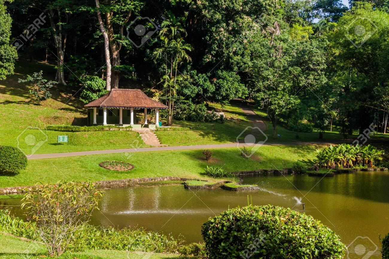Small lake in Peradeniya Royal Botanical Gardens near Kandy,..
