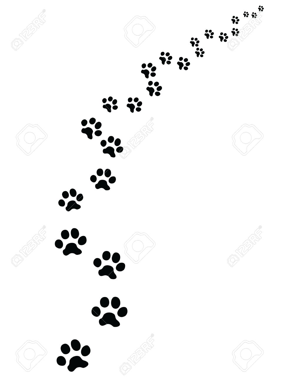 Footprints Of Cat Royalty Free Cliparts Vectors And Stock Illustration Image