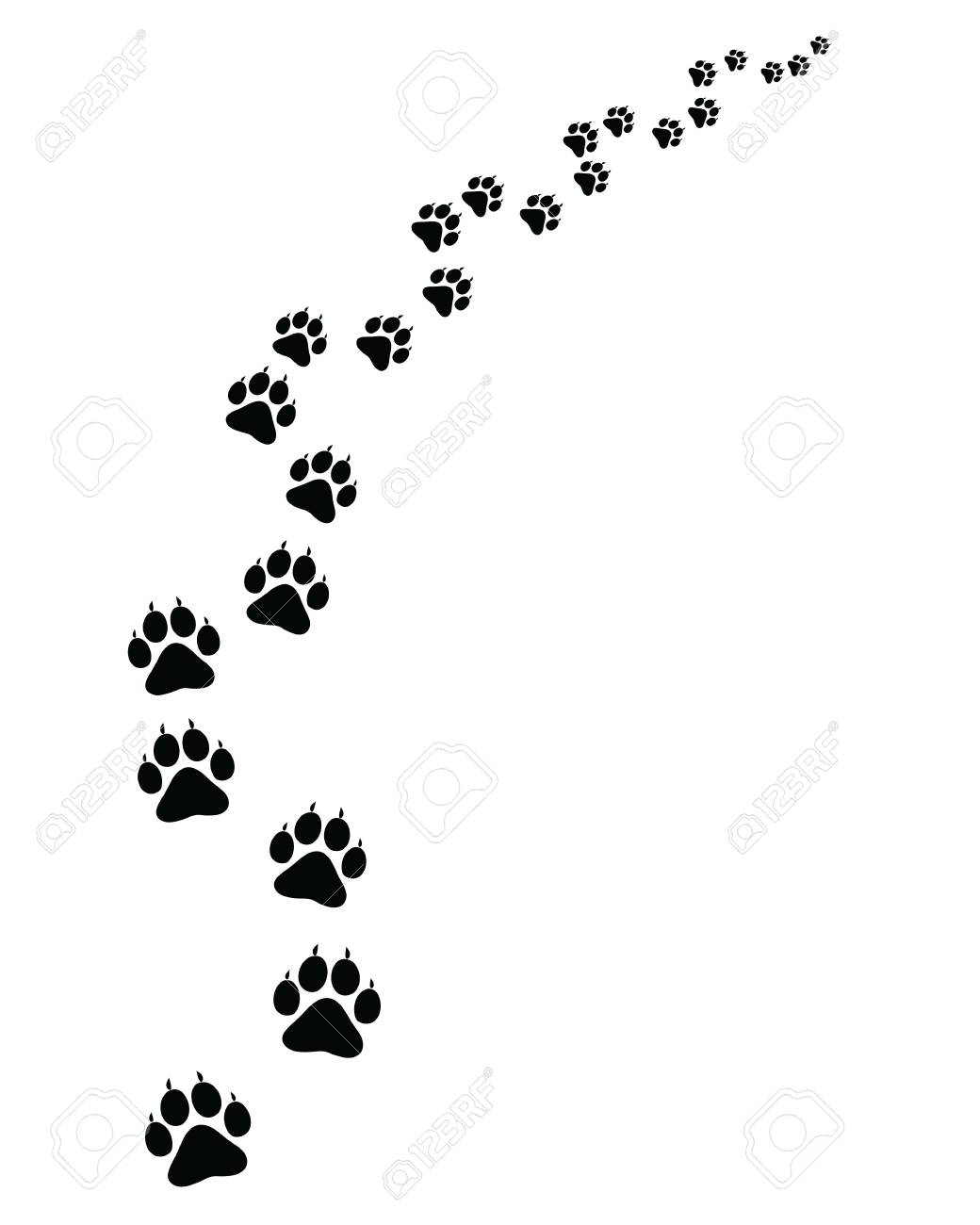 猫の足跡 のイラスト素材 ベクタ Image