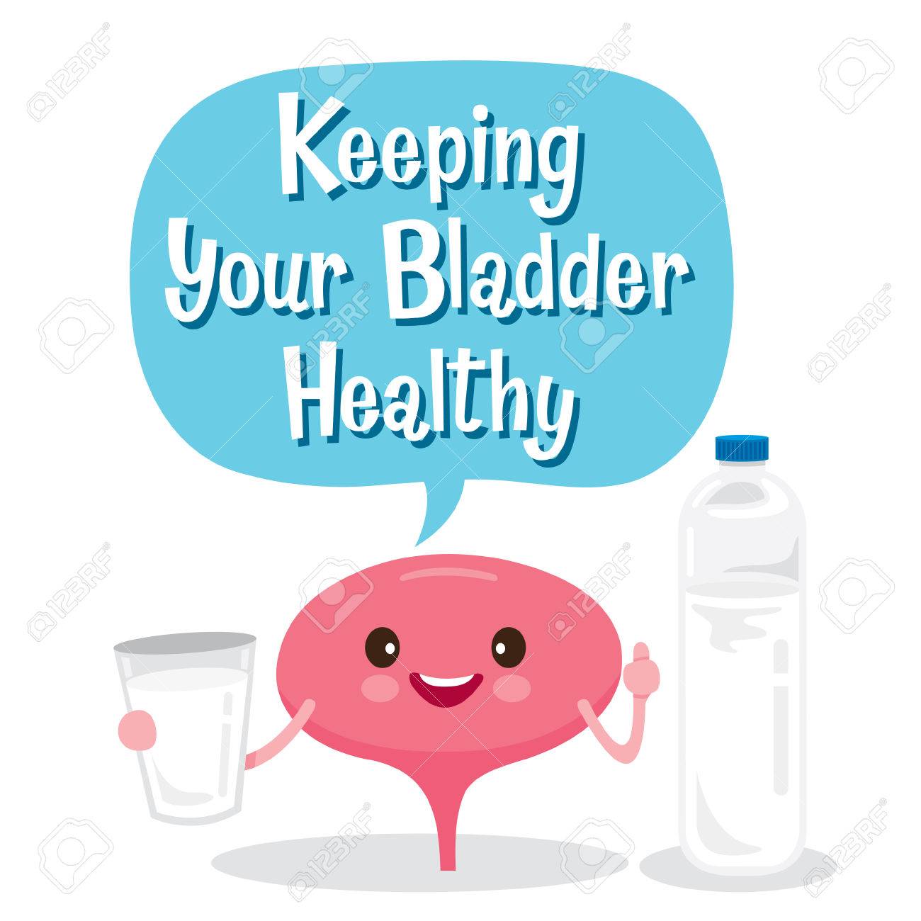 bladder human internal organ cartoon character physiology