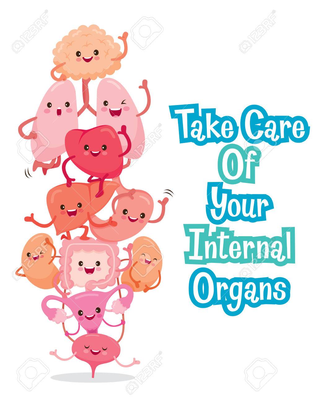 human internal organs cartoon characters funny together physiology