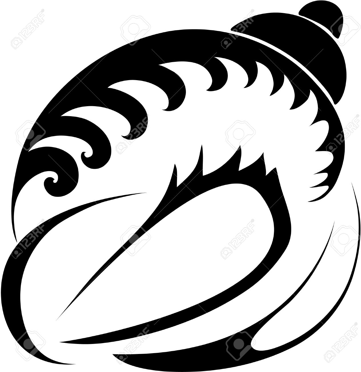 シェル のイラスト素材 ベクタ Image