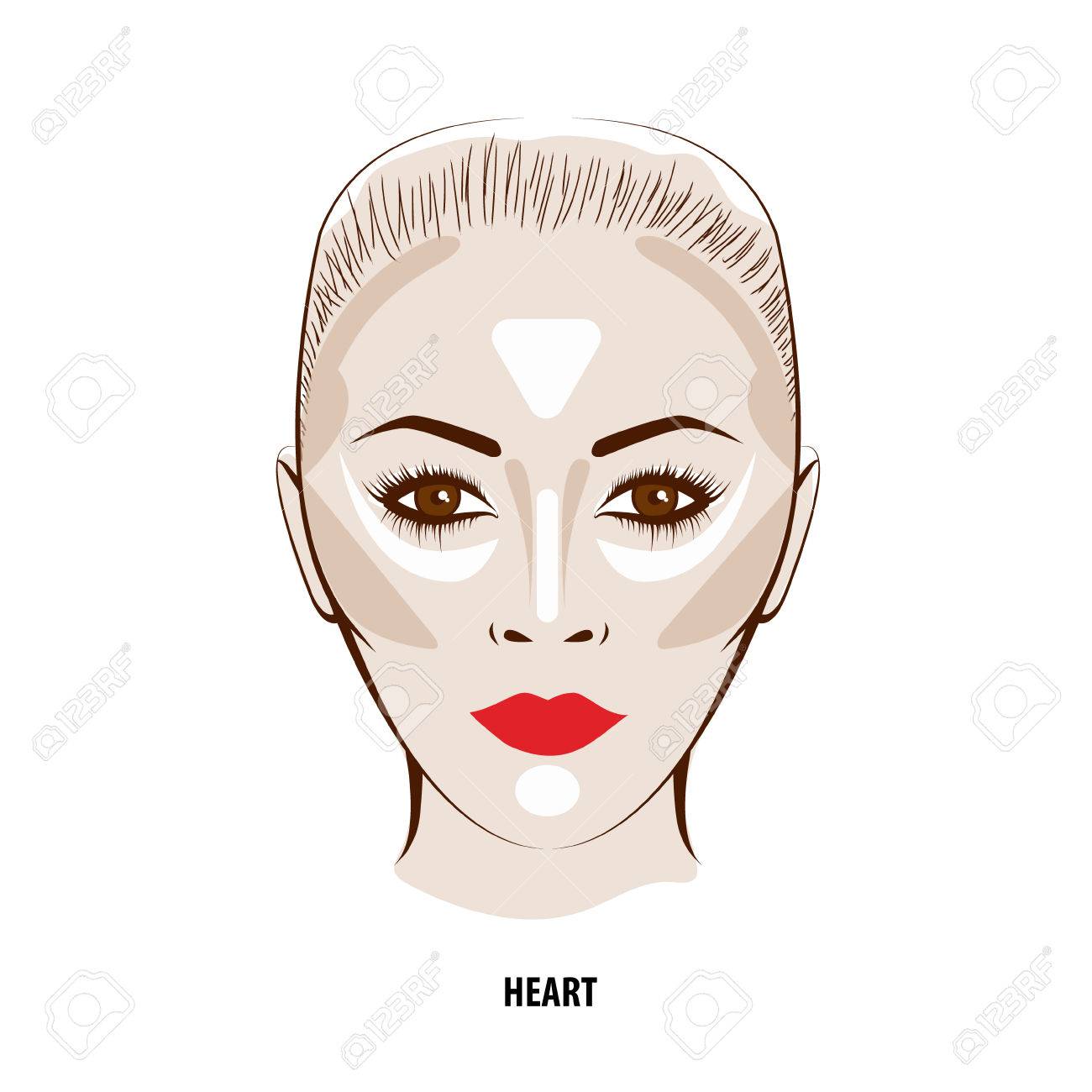 輪郭とハイライト メイク 輪郭の顔メイク ファッション イラスト のイラスト素材 ベクタ Image