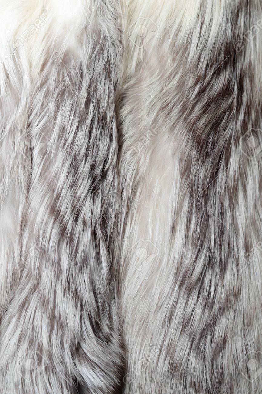 Manteau De Renard Blanc Utilise Comme Texture De La Fourrure Ou Fond Naturel Banque D Images Et Photos Libres De Droits Image Manteau De Renard Blanc Utilise Comme Texture De La Fourrure Ou Fond Naturel Banque D Images Et Photos Libres De Droits Image